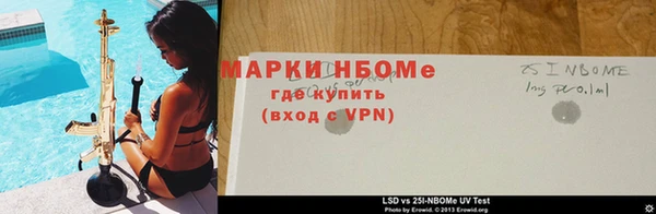 прущие крисы Дмитровск