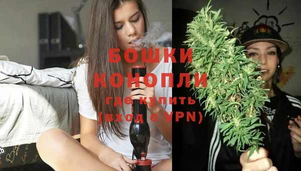 сатива Дмитров