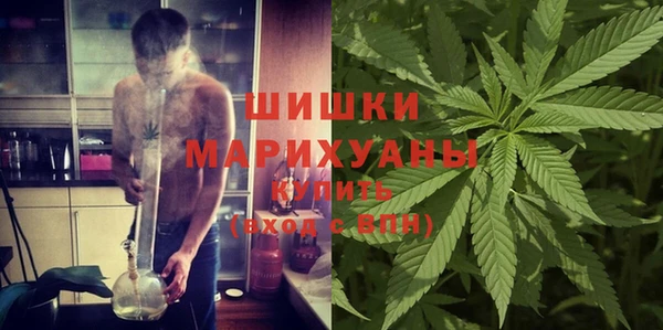 сатива Дмитров